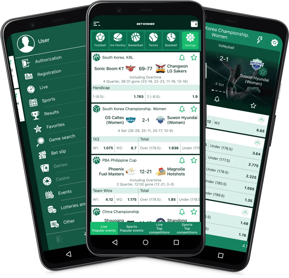 Приложение Betwinner